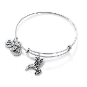 BOGO Alex and Ani Humminbird bangle adjustable bracelet silver